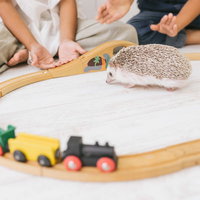 子供たちと触れ合うハリネズミと木製レールの電車の写真