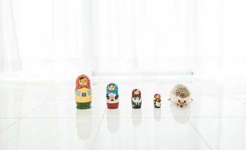 色とりどりのマトリョーシカ人形と並ぶハリネズミ