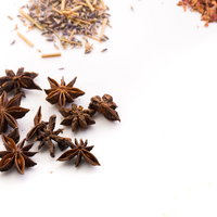 スターアニス（八角）と他のスパイスの配置の写真