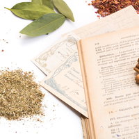 白い背景に配置した乾燥ハーブと古書、シナモンスティックの写真