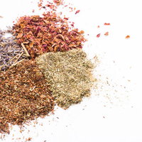 白い背景に並べた4種類の香草と乾燥ハーブの粉末の写真