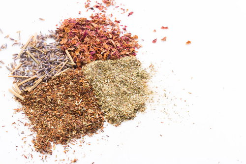 白い背景に並べた4種類の香草と乾燥ハーブの粉末