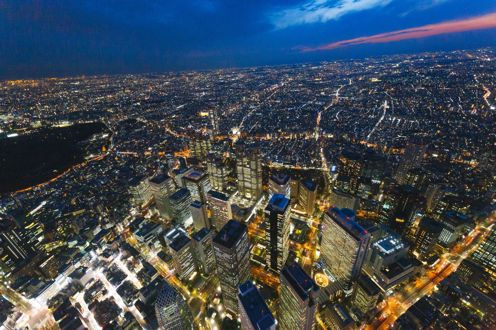 新宿都庁上空から撮影した夜景で高層ビル群が光る都市景観