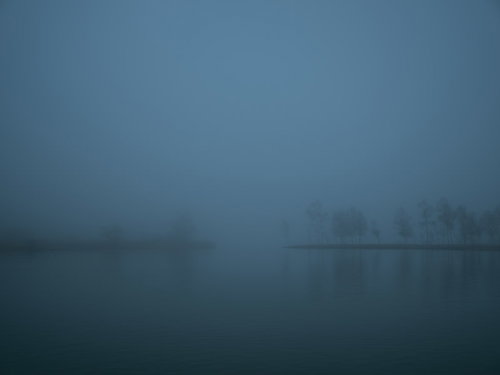 靄に包まれた湖畔の夜明け
