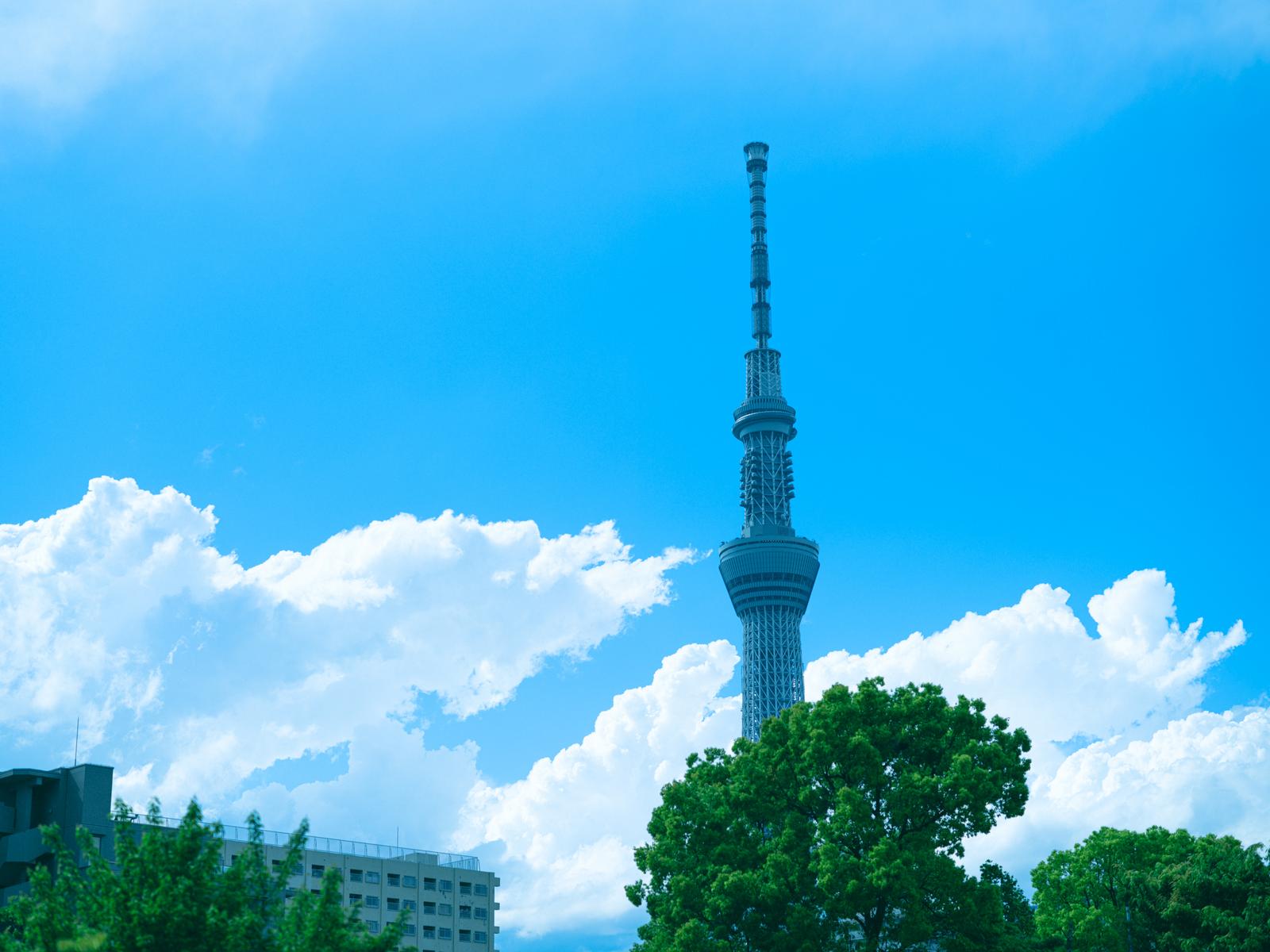 夏の青空にそびえる東京スカイツリー