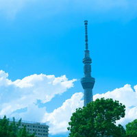 夏の青空に映える東京スカイツリーと白い雲の写真