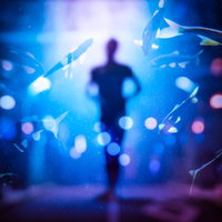 魚と人の気持ちが通じ合う水槽の風景（フォトモンタージュ）の写真