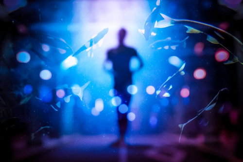 魚と人の気持ちが通じ合う水槽の風景（フォトモンタージュ）