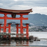 保全修理中の厳島神社大鳥居と宮島の海景及び歴史的景観の写真