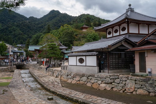 厳島神社の境内を流れる水路と石垣、社殿周辺の風景