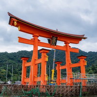 足場に囲まれた厳島神社の大鳥居の保全修理工事現場の写真