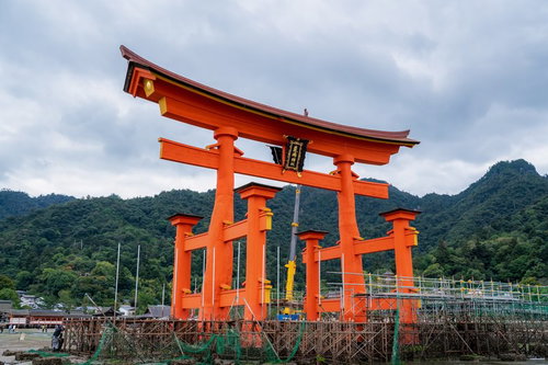 足場に囲まれた厳島神社の大鳥居の保全修理工事現場