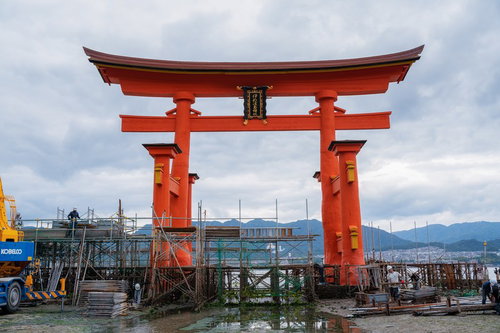 保全修理中の厳島神社・大鳥居と工事用足場