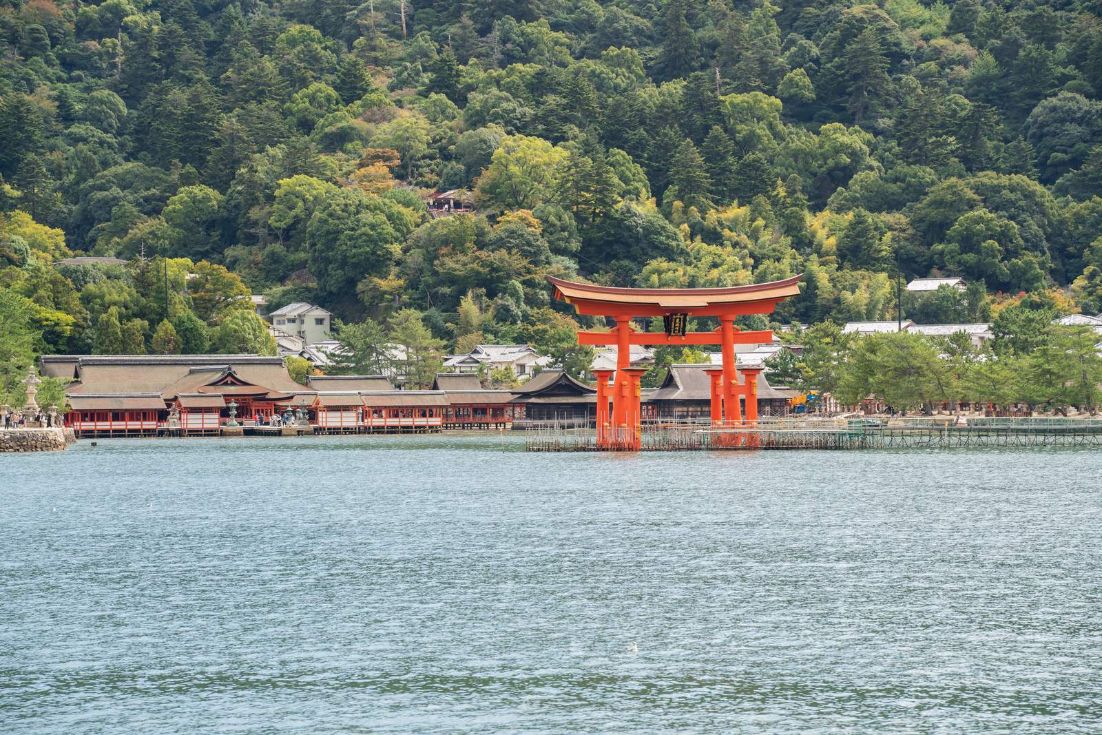 厳島神社の大鳥居と朱色の社殿