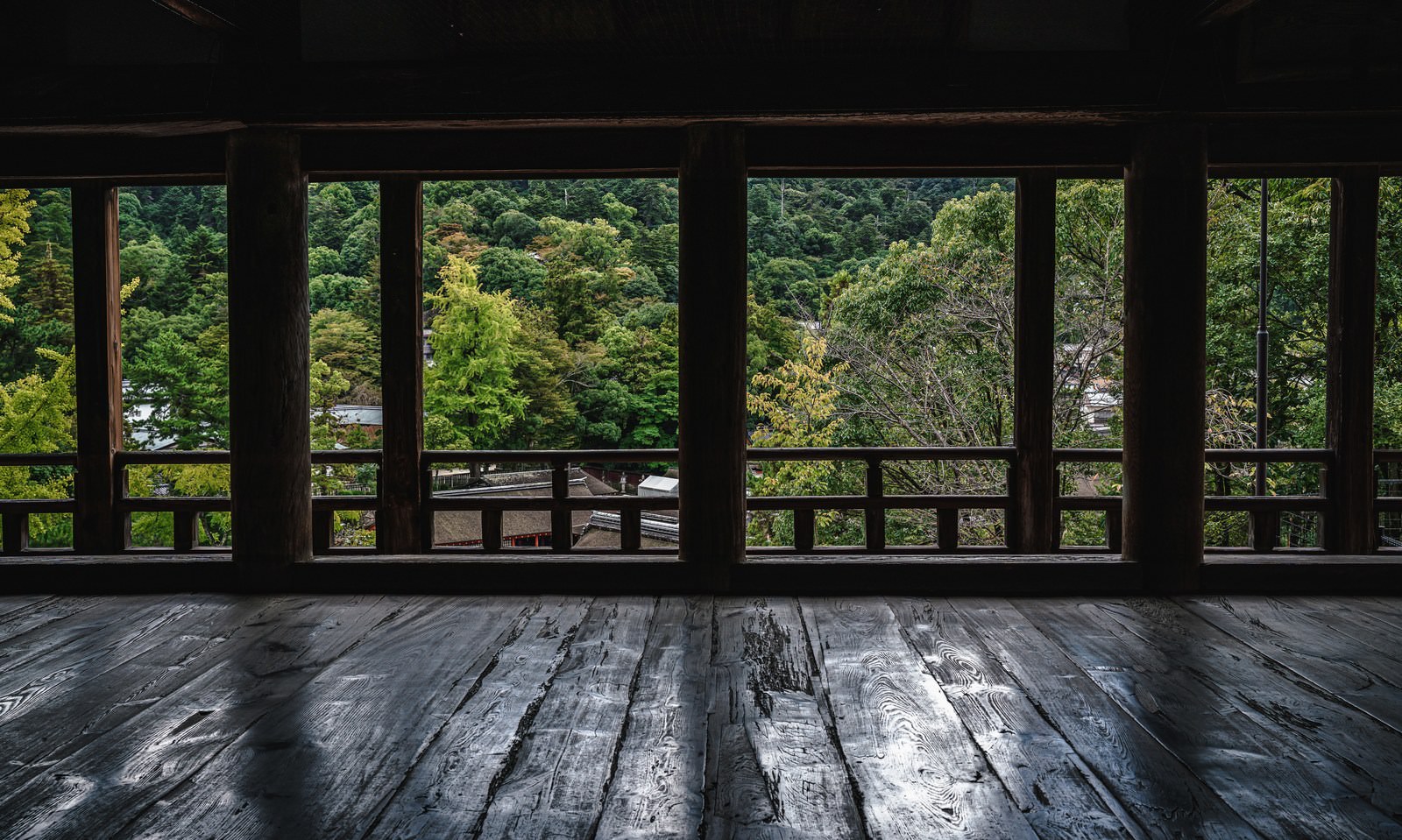 木製の板間と柱越しに緑の木々を望む風景