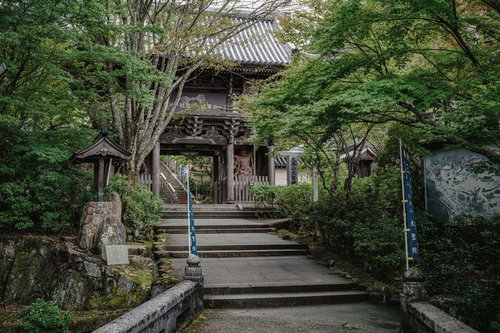 宮島の大本山大聖院の参拝道と樹齢の古い木々に囲まれた石段の風景