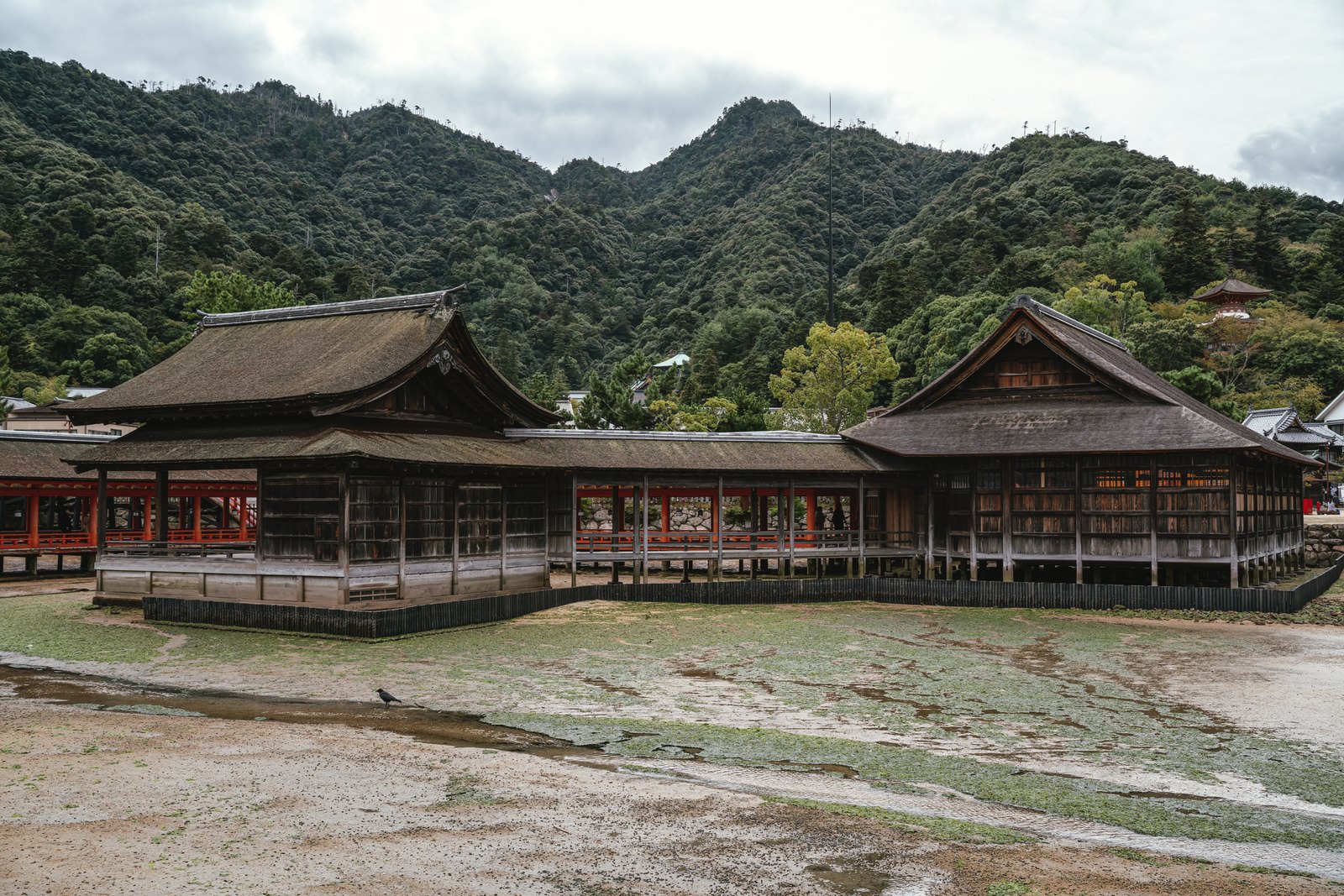 山を背景にした厳島神社の境内に建つ朱色のお堂と建物