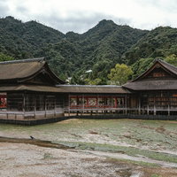 厳島神社の境内に広がる湿った地面と朱色のお堂の写真
