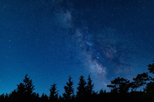 山奥から見える天の川と星雲、樹木のシルエット