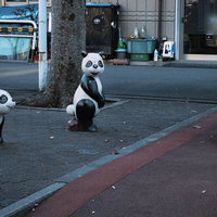 目が死んだパンダ3体が並ぶ公園の街角風景の写真