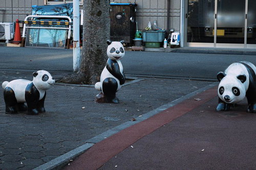 目が死んだパンダ3体が並ぶ公園の街角風景