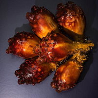 海の幸ホヤ、赤褐色でぼこぼこした独特な質感の写真