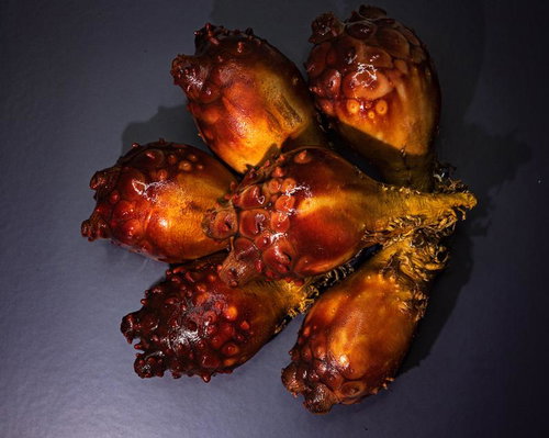 【ホヤ注意注意】海の幸ホヤ、赤褐色でぼこぼこした独特な質感