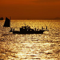 夕焼け色に染まる海面に浮かぶ漁船のシルエットの写真