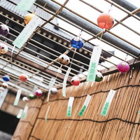 新緑の森に落ちる岩壁の滝の写真