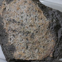 大根島石の標本（玄武岩の一種）の写真