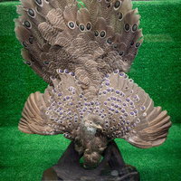 繊細な模様が際立つコクジャクの剥製の写真