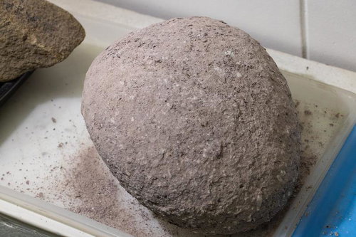 丸みを帯びた大山の岩石標本