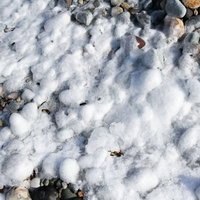 氷泥のあと、礫に交ざる白い氷塊が波打つように堆積した冬の海岸風景の写真