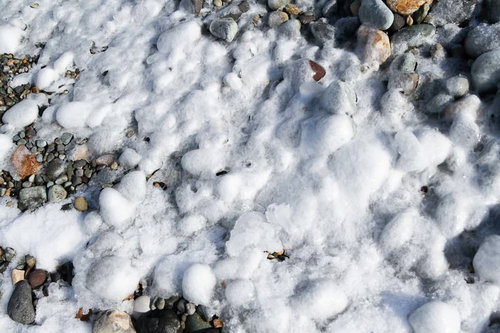 氷泥のあと、礫に交ざる白い氷塊が波打つように堆積した冬の海岸風景