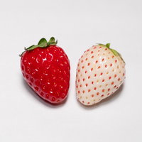 紅白に並ぶ苺の美しい対比の写真