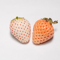 白い苺と薄い桃色の苺の2個並べた写真の写真