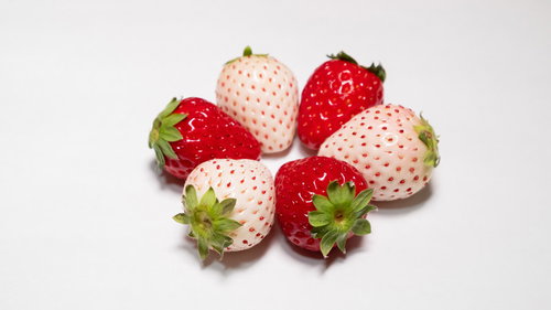 赤と白の苺が交互に並ぶ円陣の