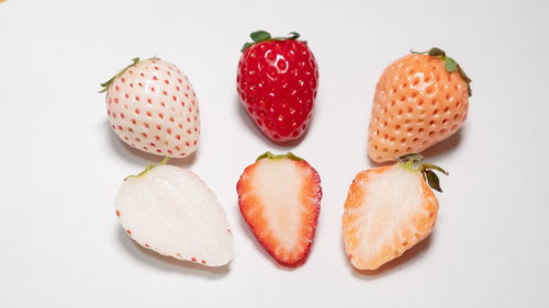 三種の苺の断面とカット状態、赤い果肉と黄色い種