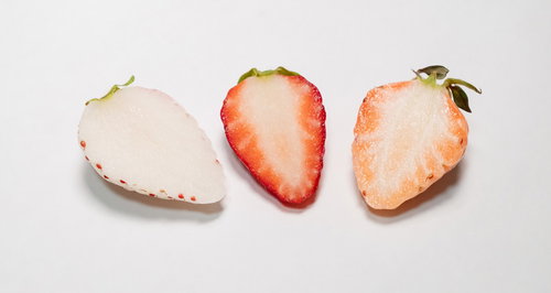 三種類のいちごの断面カット、赤い果肉と種の配置