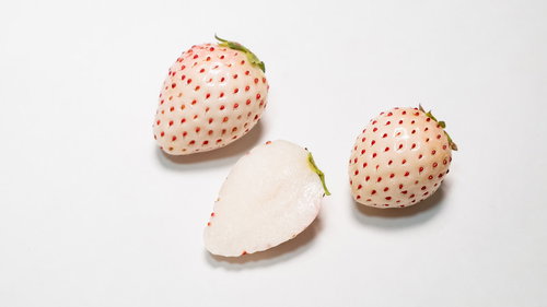断面も白い苺の白い果実、白いいちご3個のカット