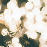 光で溢れるクリスマスツリーのイルミネーションの写真