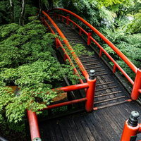 青もみじに囲まれた伊香保温泉の河鹿橋の写真
