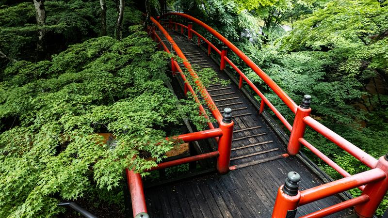 日本庭園の池でゆったり泳ぐ赤白い錦鯉の群れの写真素材 - フリー素材