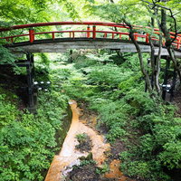 新緑に包まれた伊香保温泉の河鹿橋の写真