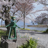 船津川の満開桜並木の下に佇む河童のがたろの写真