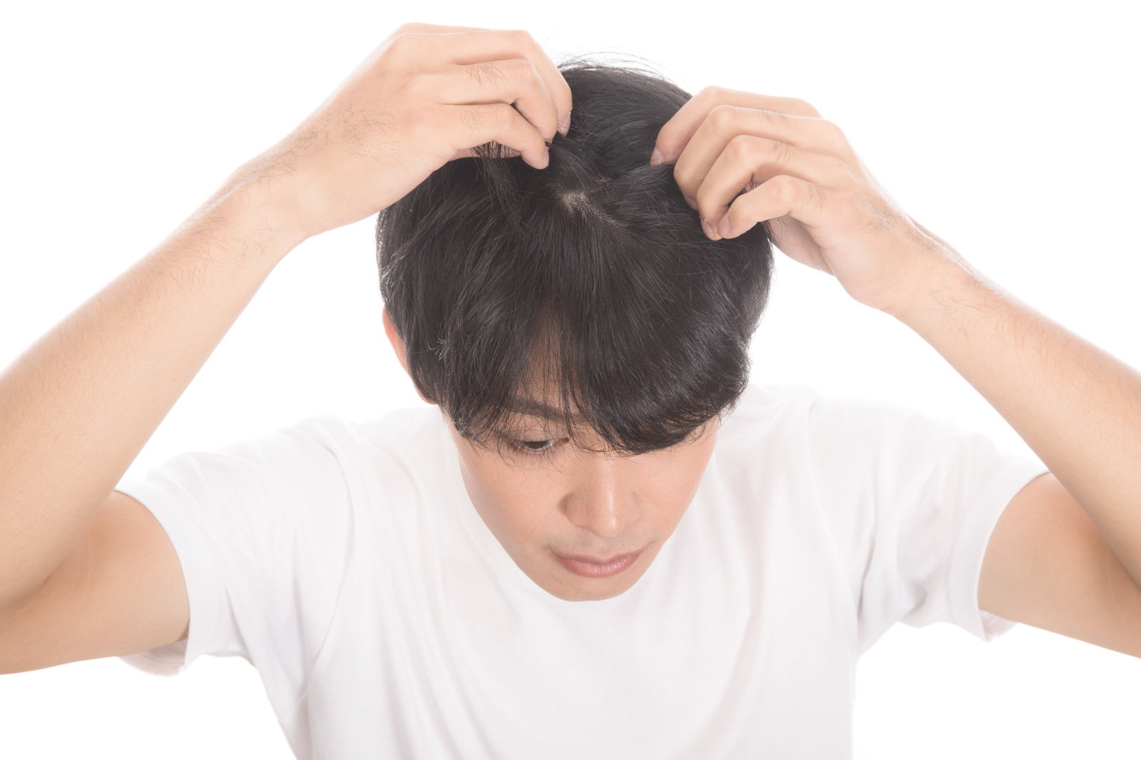 両手で髪を掻き上げて毛根をチェックする白いTシャツの若い男性［モデル：完伍］