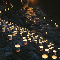 ボシ灯ろう祭りの川沿いに並ぶ灯ろうの写真