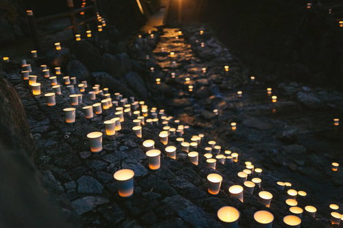 ボシ灯ろう祭りの川沿いに並ぶ灯ろう