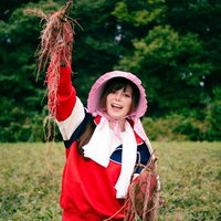 芋掘り農家女子が収穫した赤い芋を高く掲げるの写真