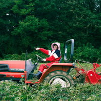 さつまいもの収穫でトラクターを運転する女性農家の写真